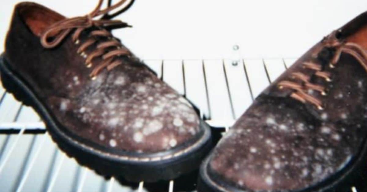 How to get rid of mold on shoes